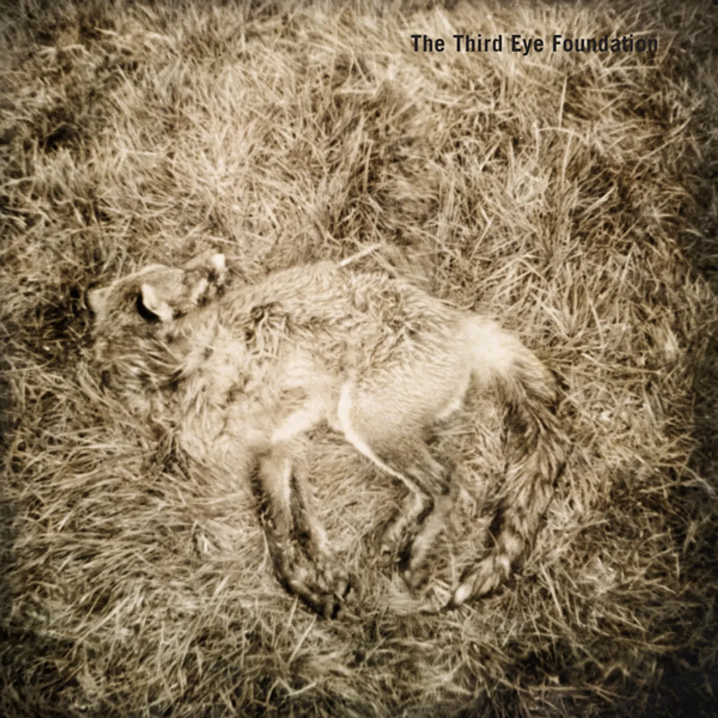 Third Eye Foundation Semtex Vinyl Record