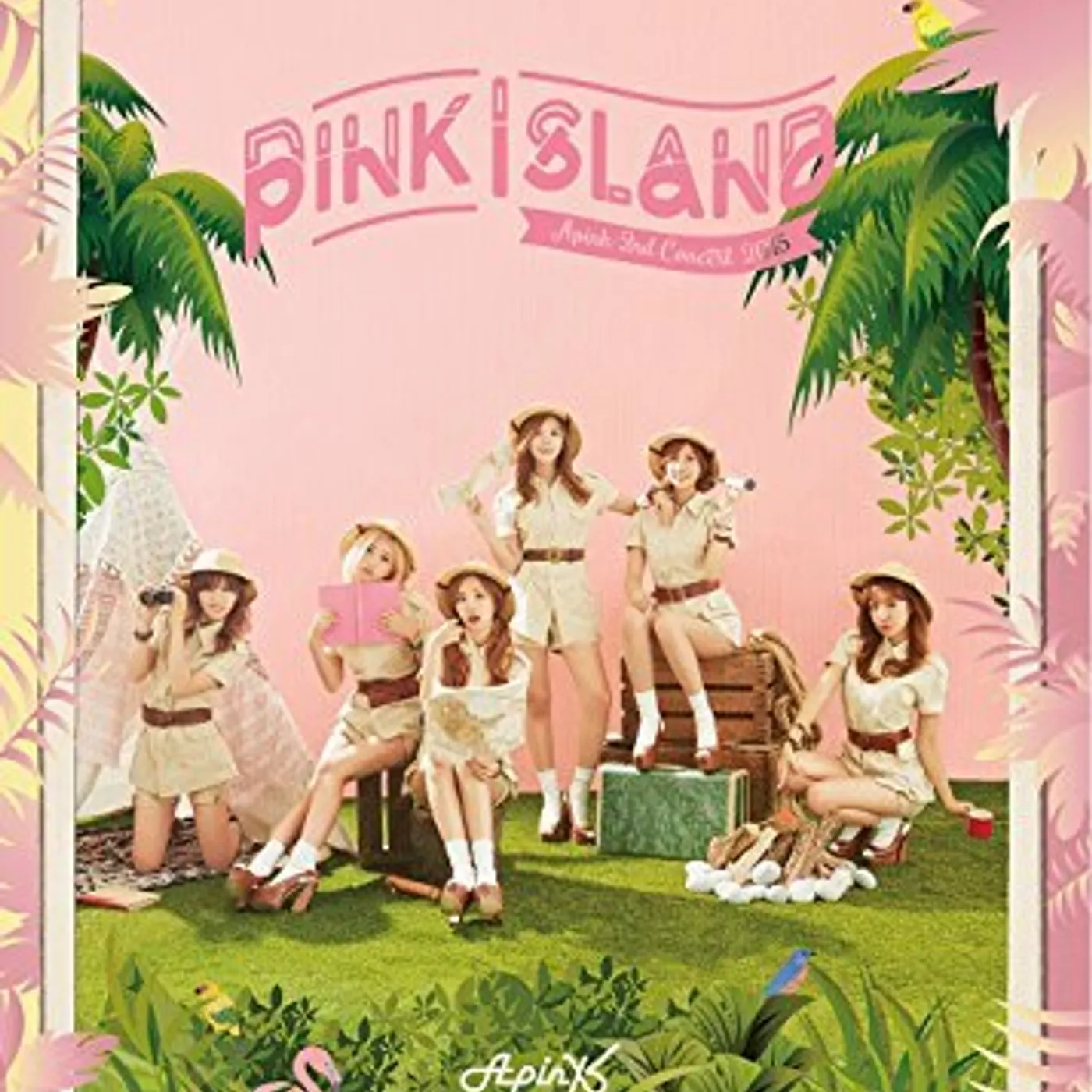 Apink 2ND CONCERT DVD (PINK ISLAND) DVD