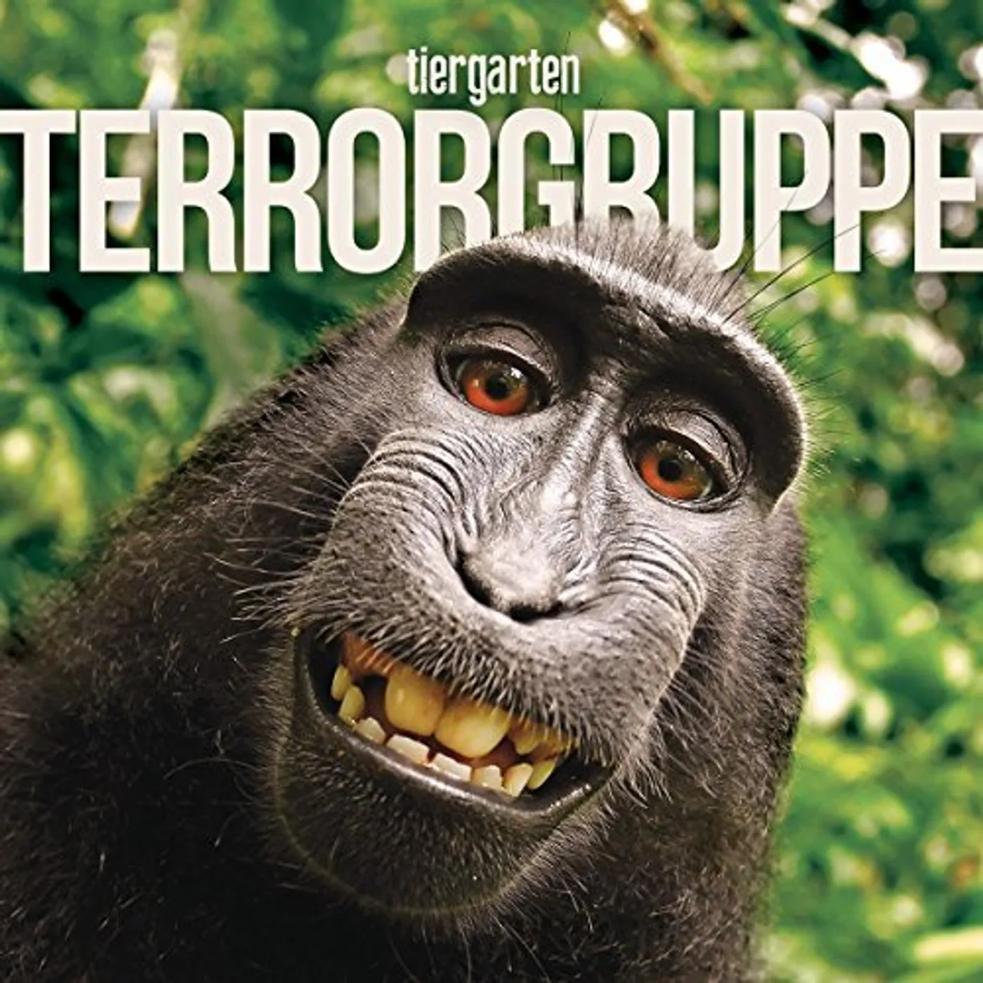 Terrorgruppe TIERGARTEN CD