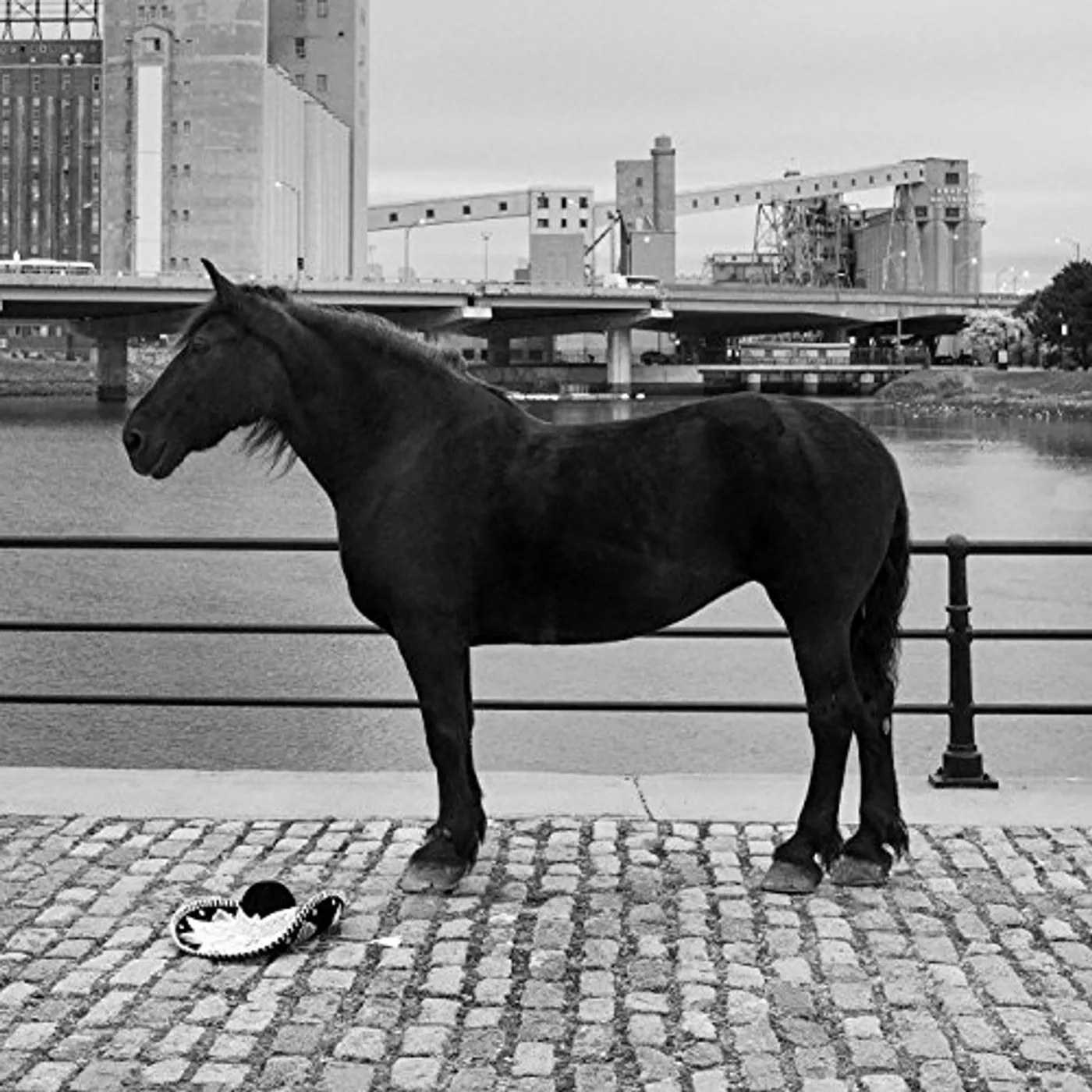 Rouge Pompier CHEVY CHASE CD