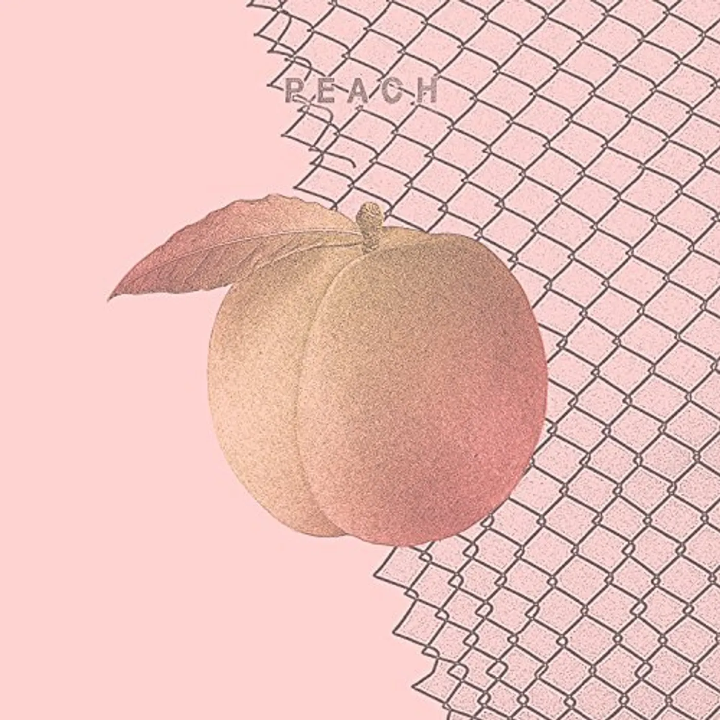 Culture Abuse PEACH CD