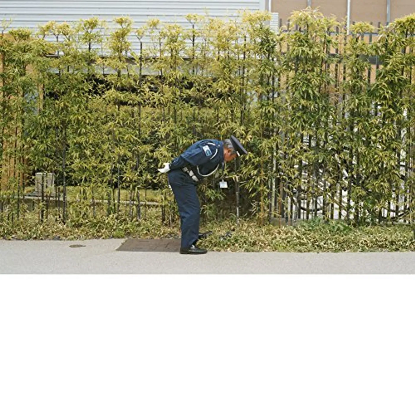 Gold Panda Good Luck And Do Your Best Vinyl Record