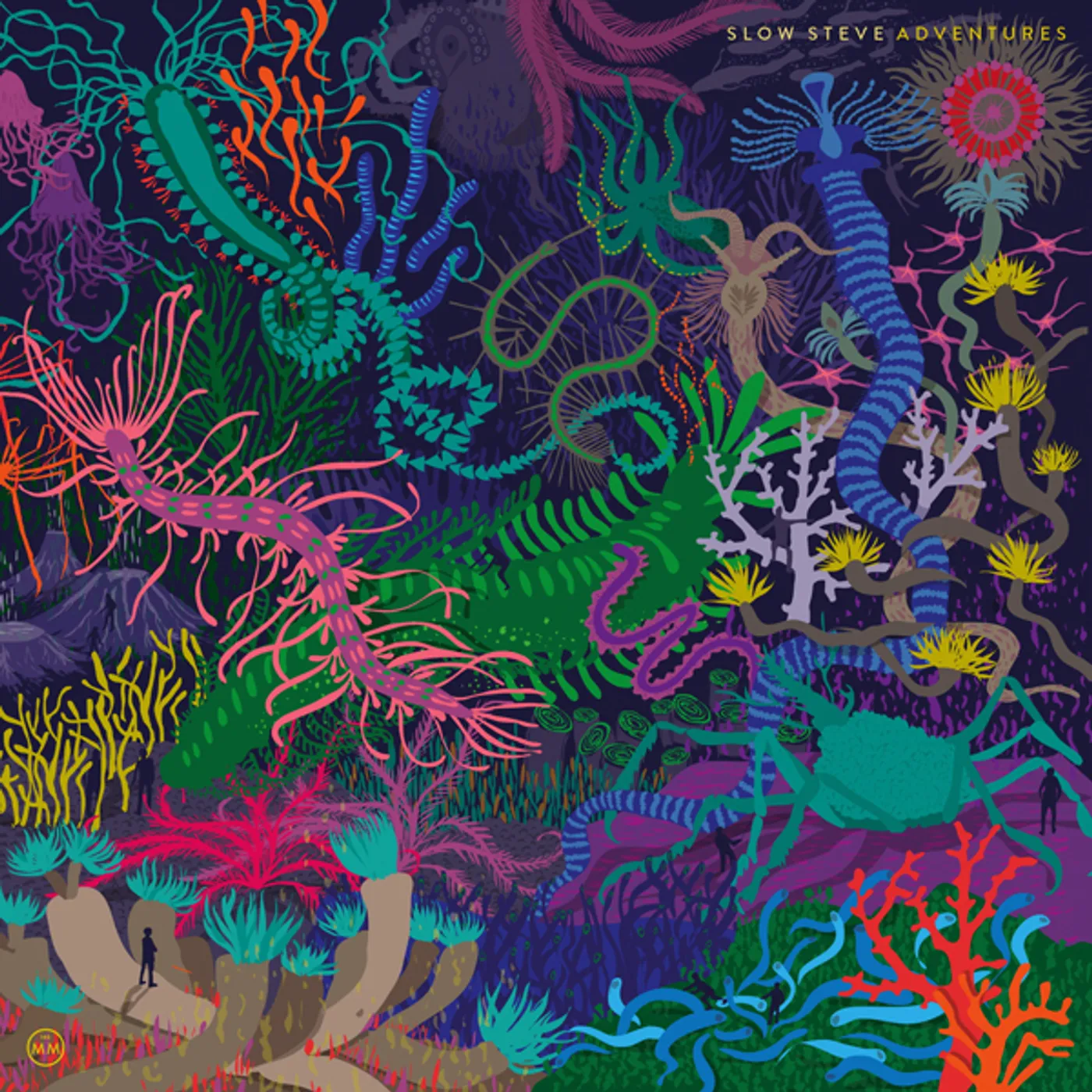 Slow Steve Adventures Vinyl Record