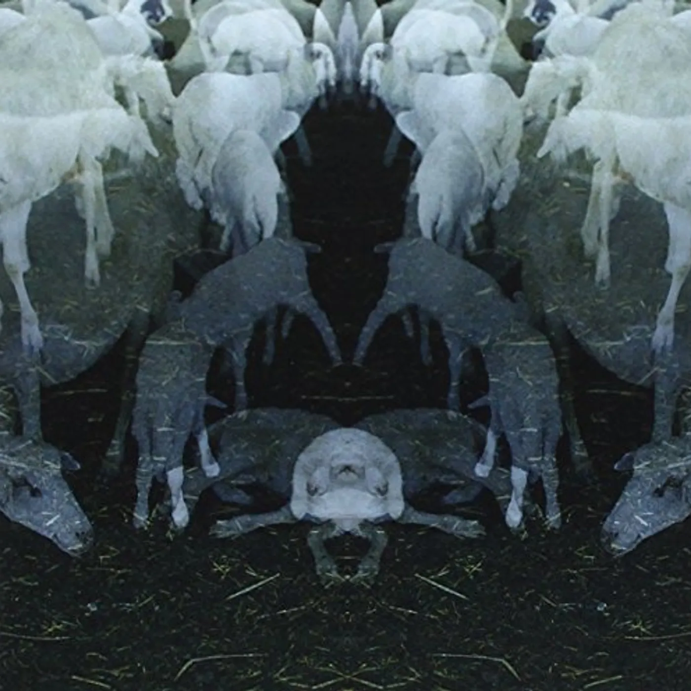 Alfio Antico ANTICO CD