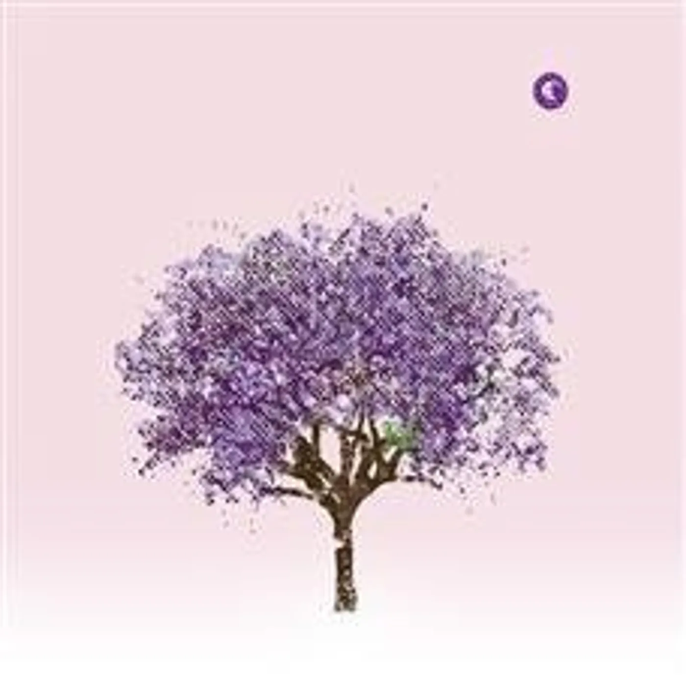 Eels TOMORROW MORNING CD