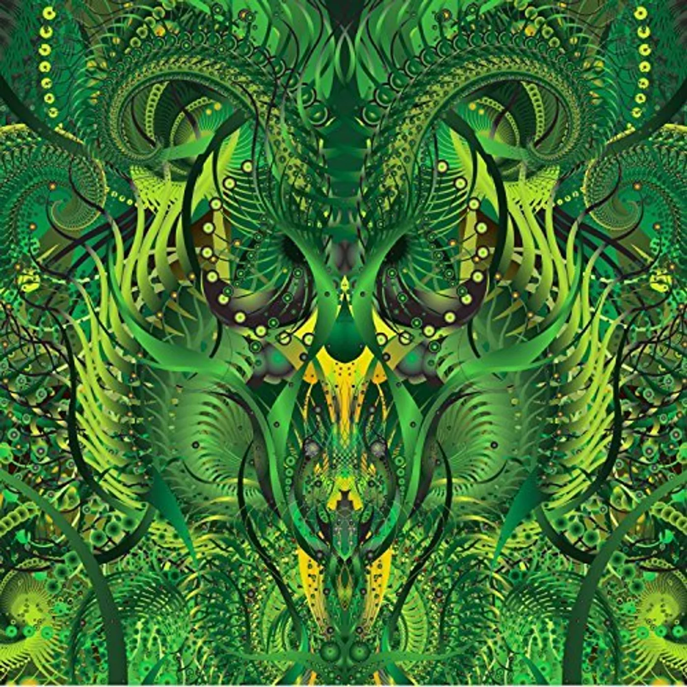 Blind Idiot God Before Ever After Vinyl Record