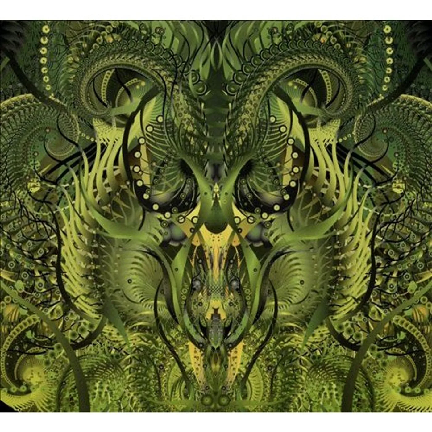 Blind Idiot God BEFORE EVER AFTER CD