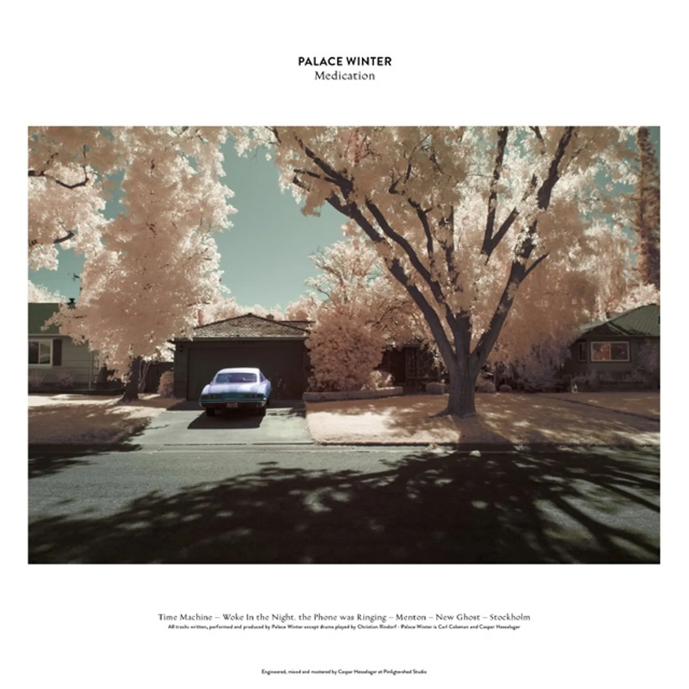 Palace Winter MEDICATION Vinyl Record