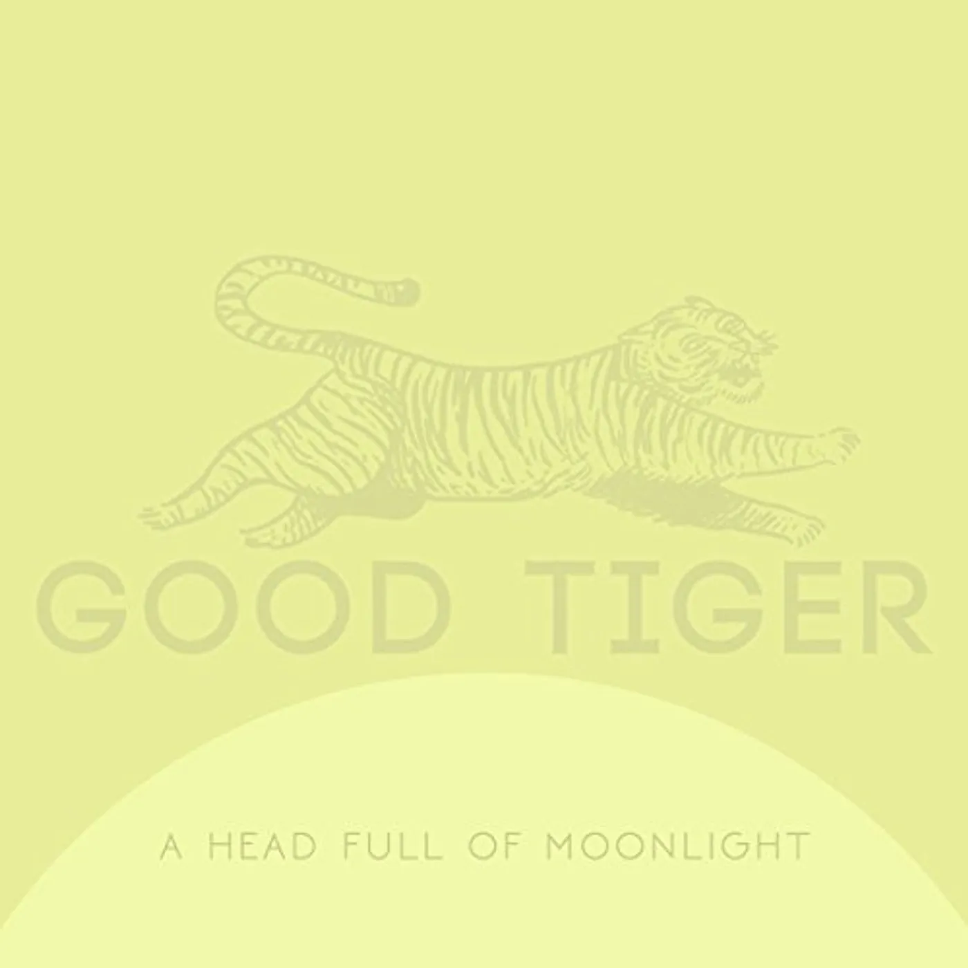Good Tiger HEAD FULL OF MOONLIGHT Vinyl Record