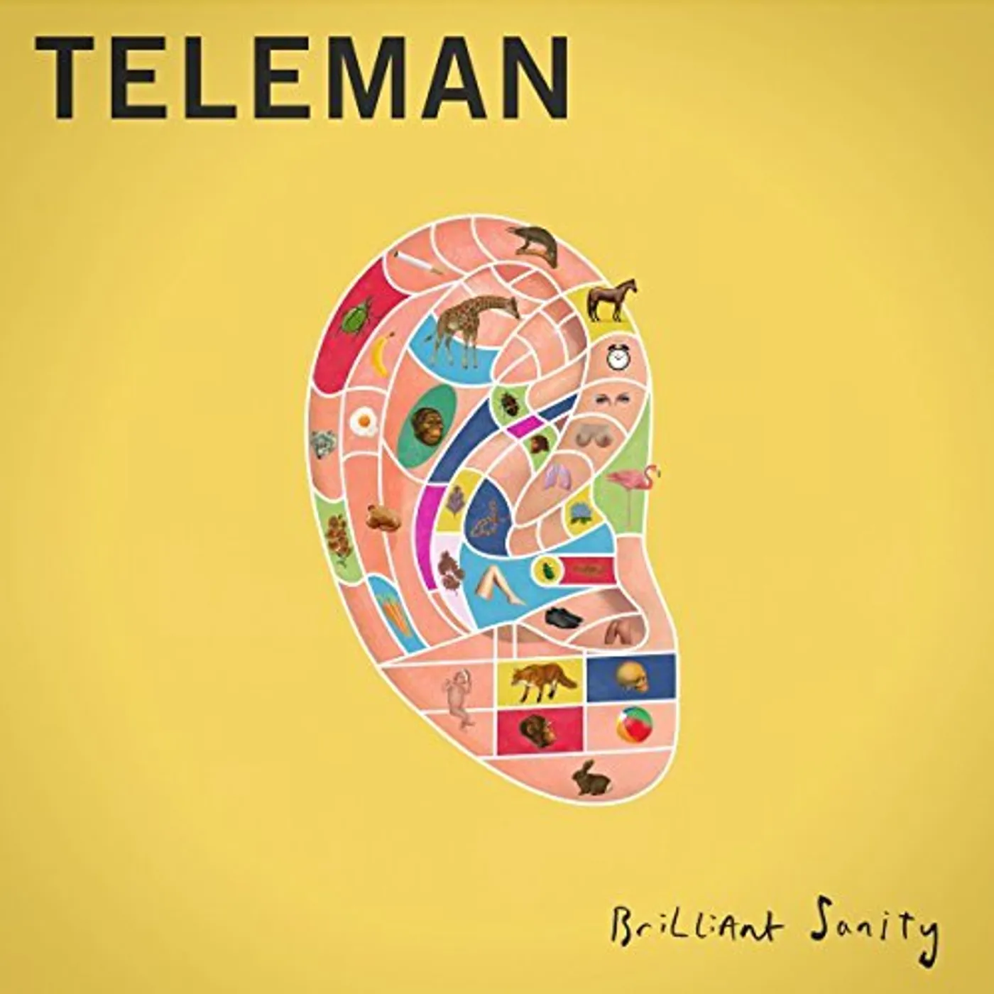 Teleman BRILLIANT SANITY CD