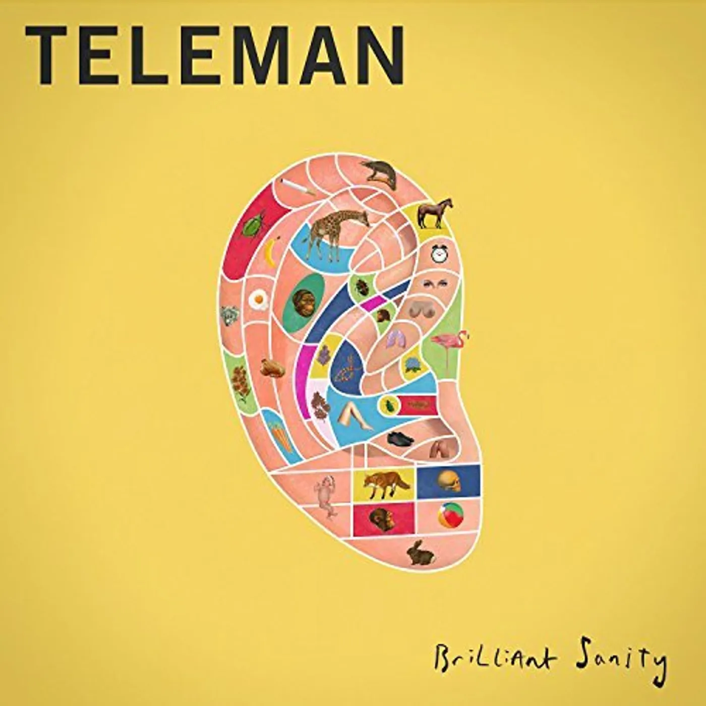 Teleman Brilliant Sanity Vinyl Record