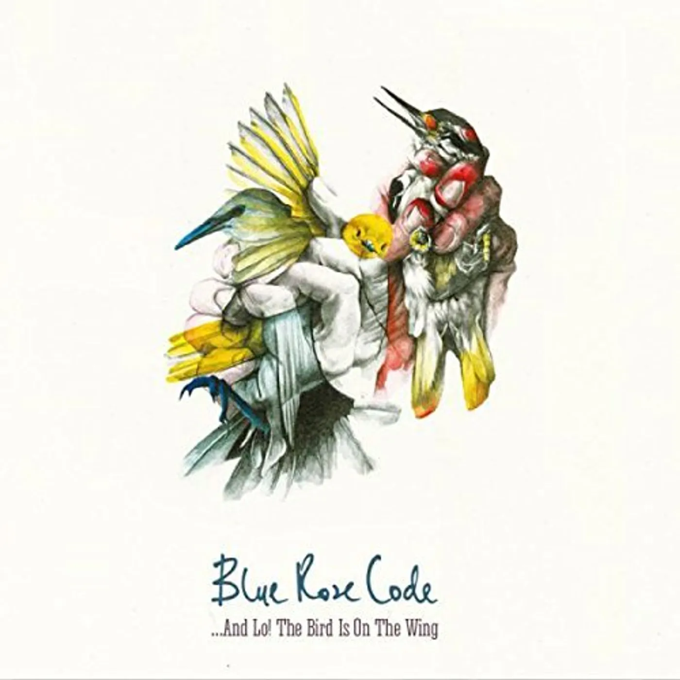 Blue Rose Code AND LO! THE BIRD IS ON THE WING CD