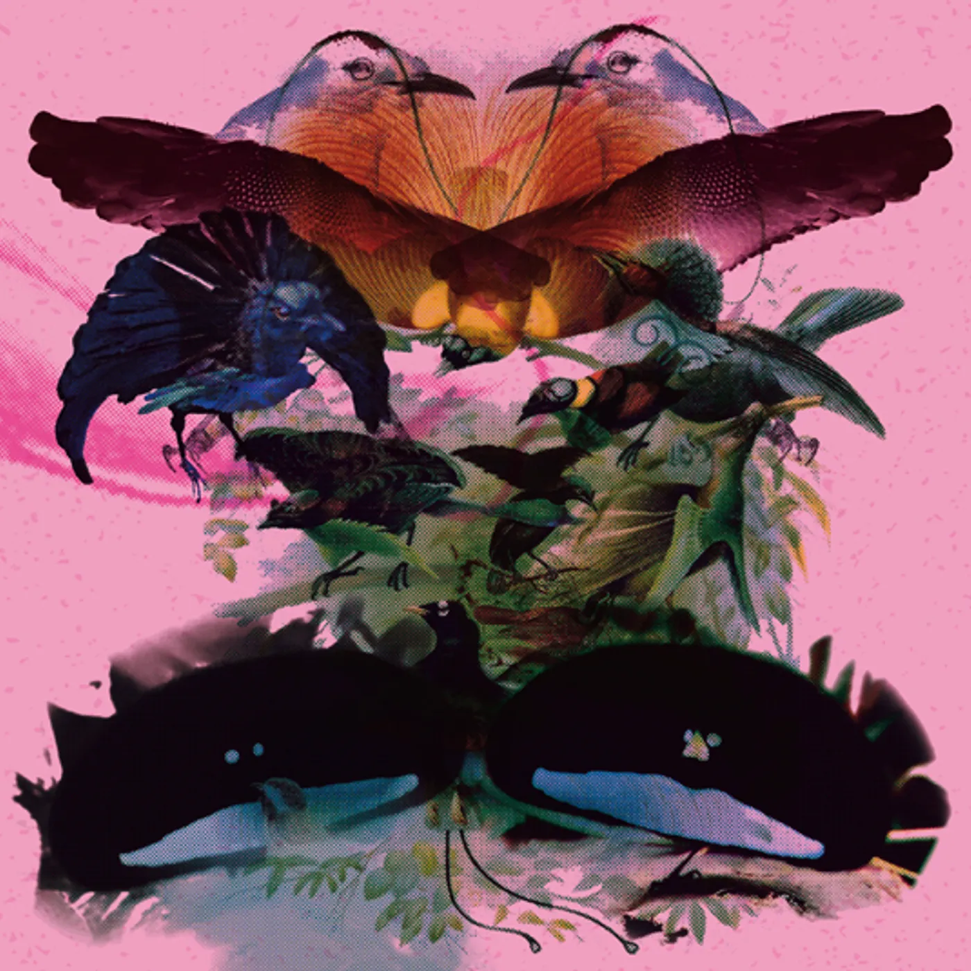 Leon Vynehall ROJUS (DESIGNED TO DANCE) CD