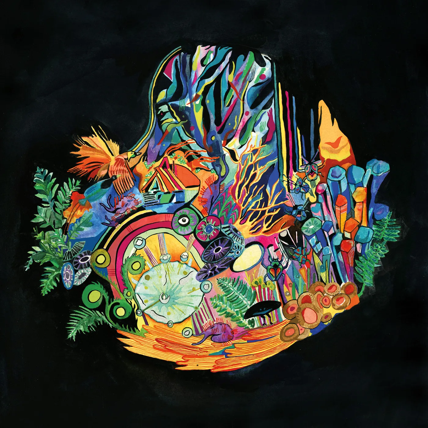 Kaitlyn Aurelia Smith EARS Vinyl Record