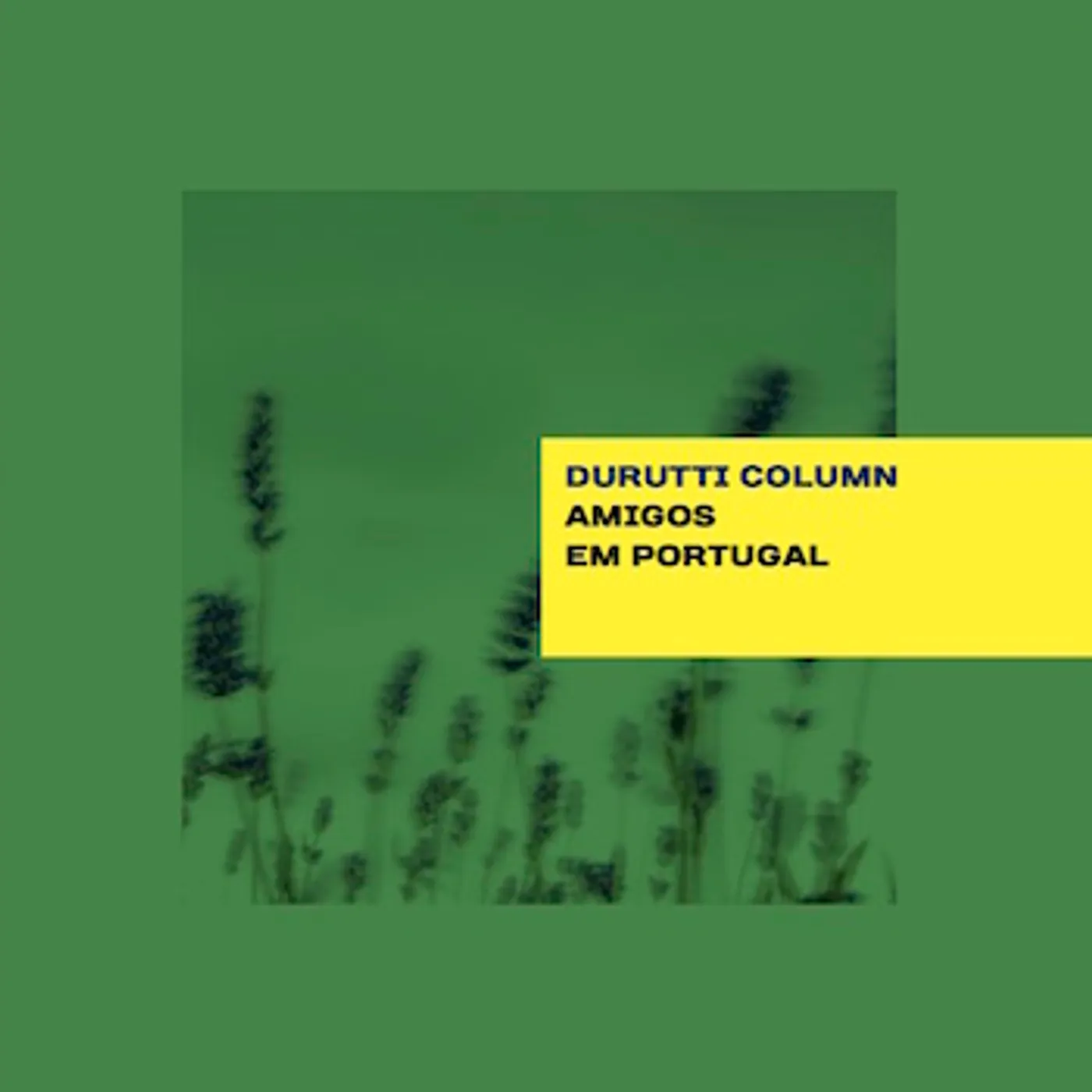 The Durutti Column Amigos em Portugal Vinyl Record