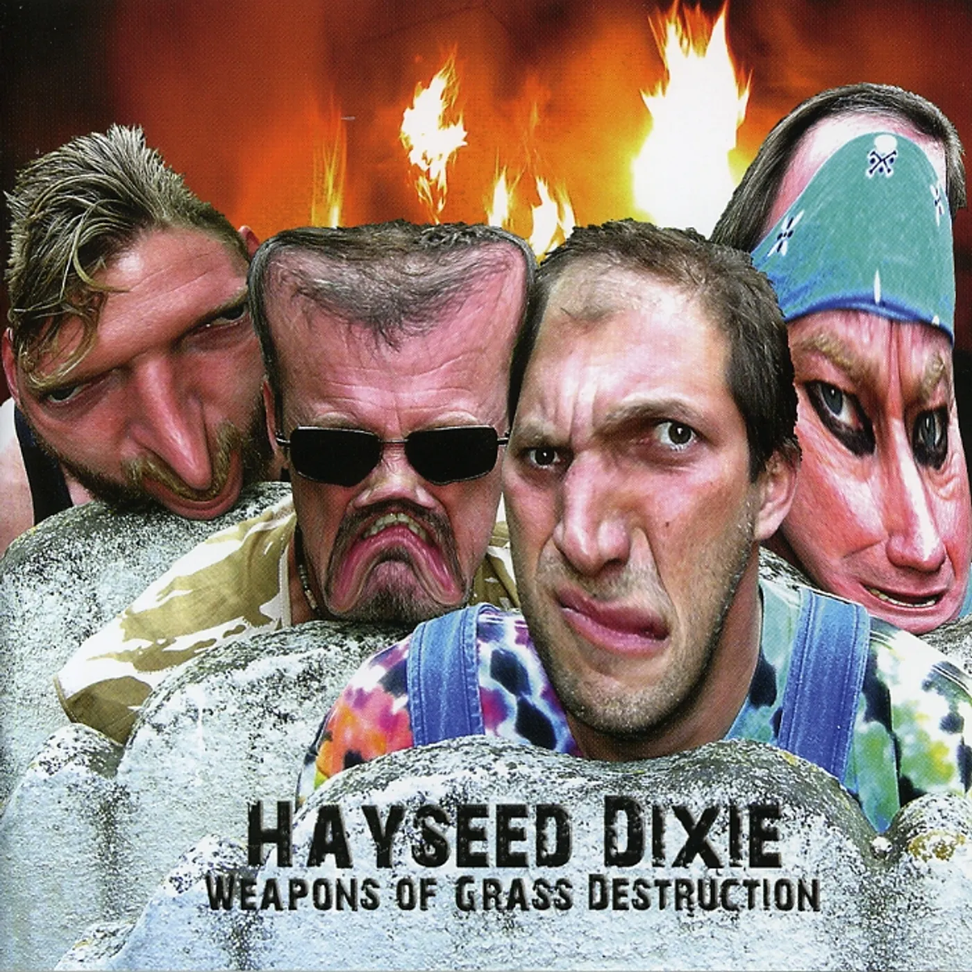 Hayseed Dixie WEAPONS OF GRASS DESTRUCTION CD