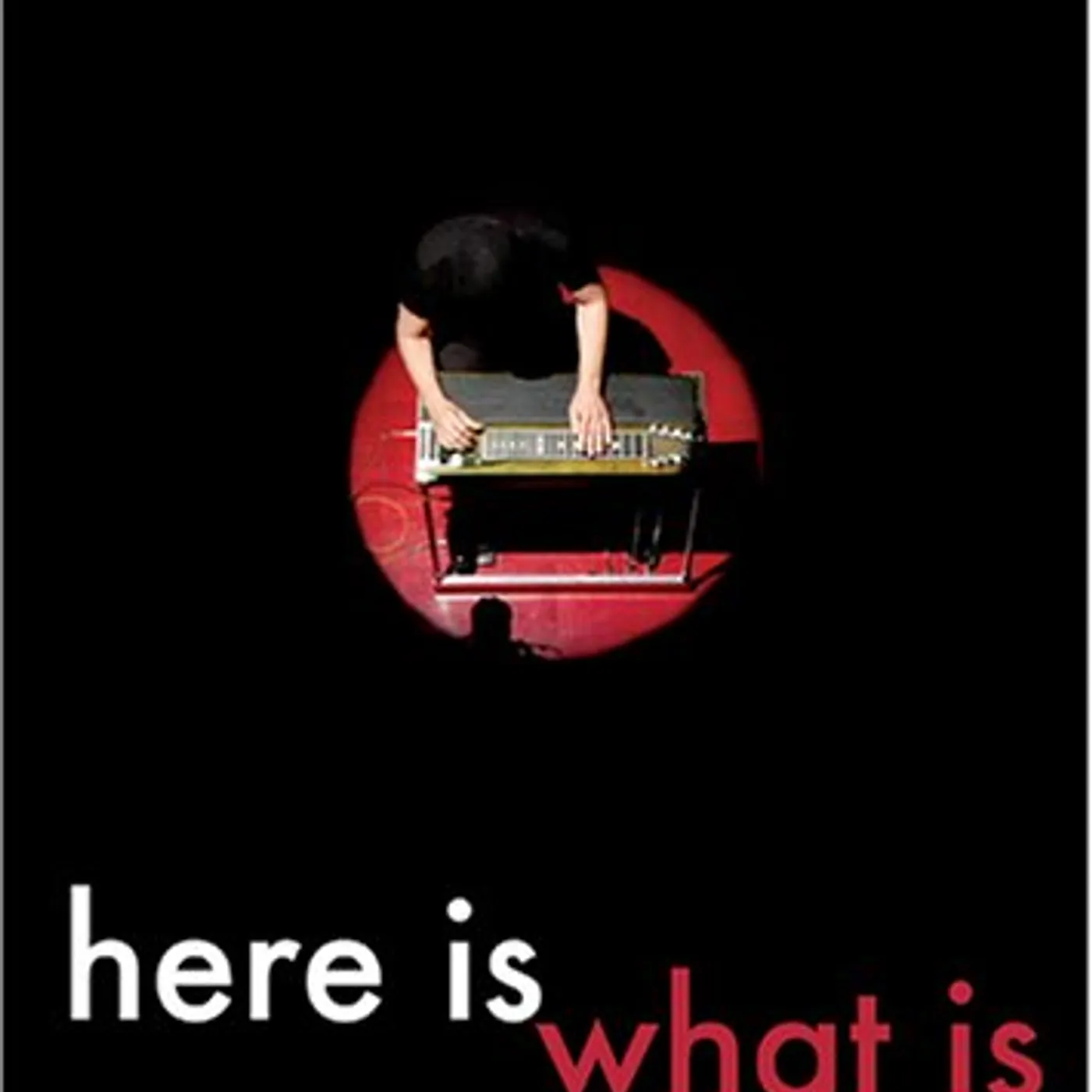 Daniel Lanois HERE IS WHAT IS DVD