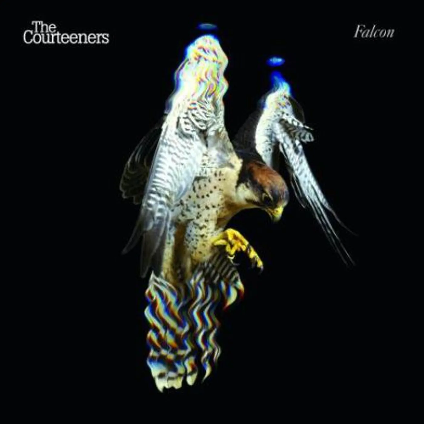 Courteeners FALCON CD