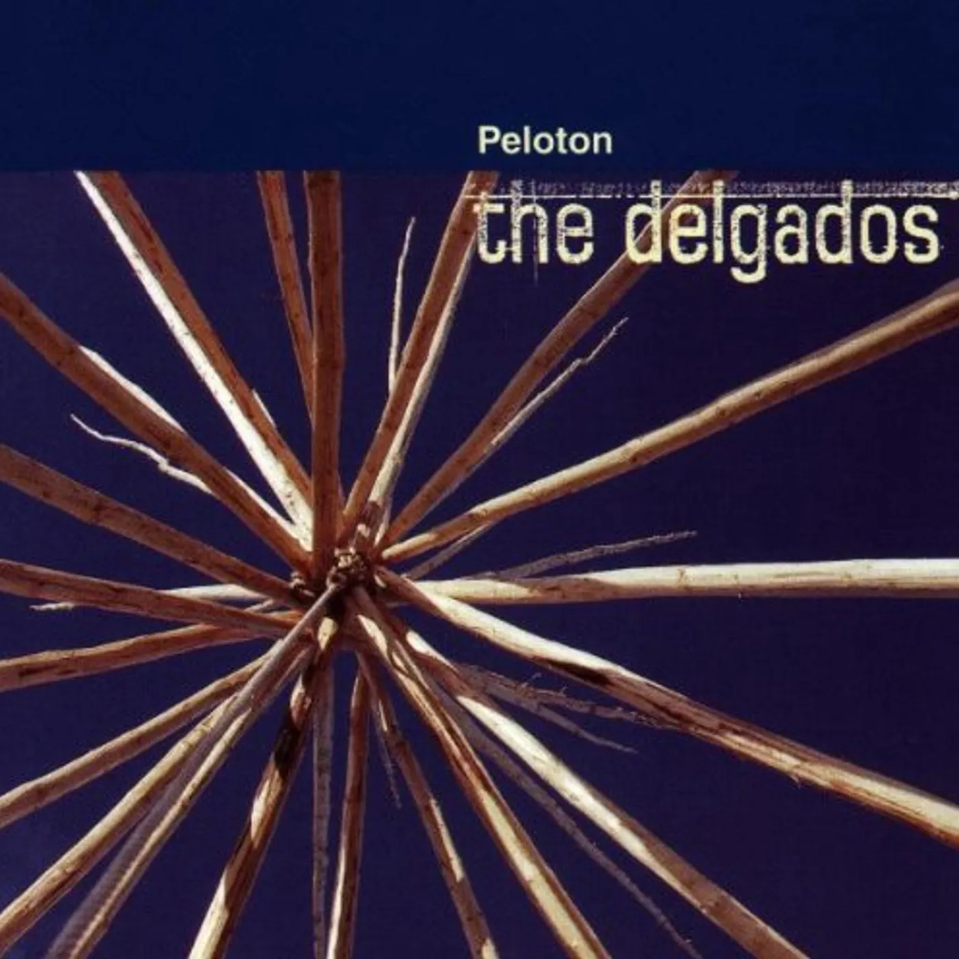 The Delgados PELOTON CD