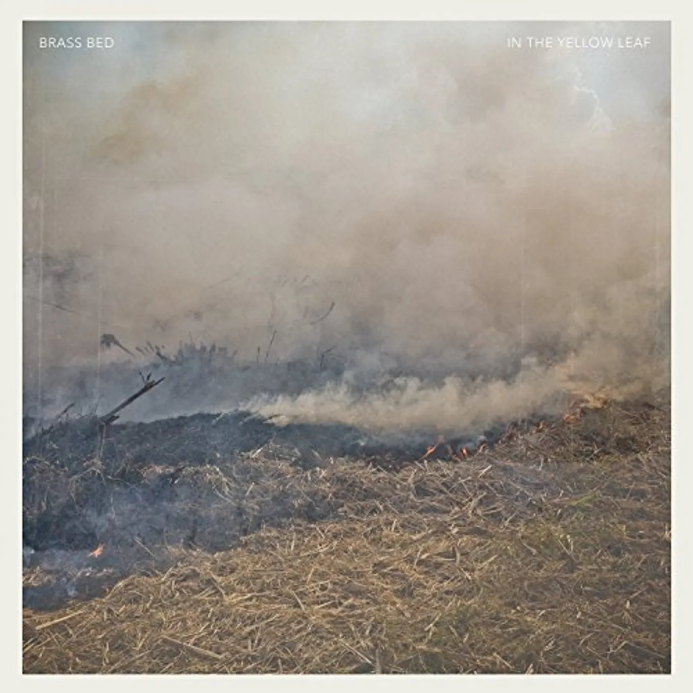 Brass Bed In the Yellow Leaf Vinyl Record