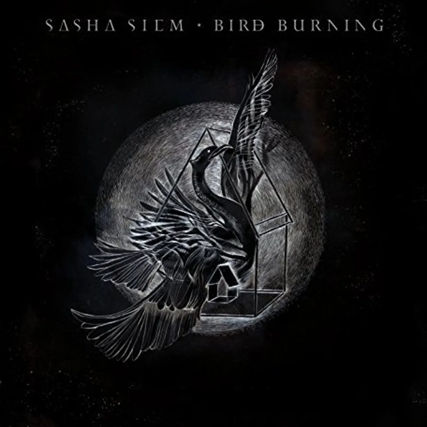 Sasha Siem Bird Burning Vinyl Record