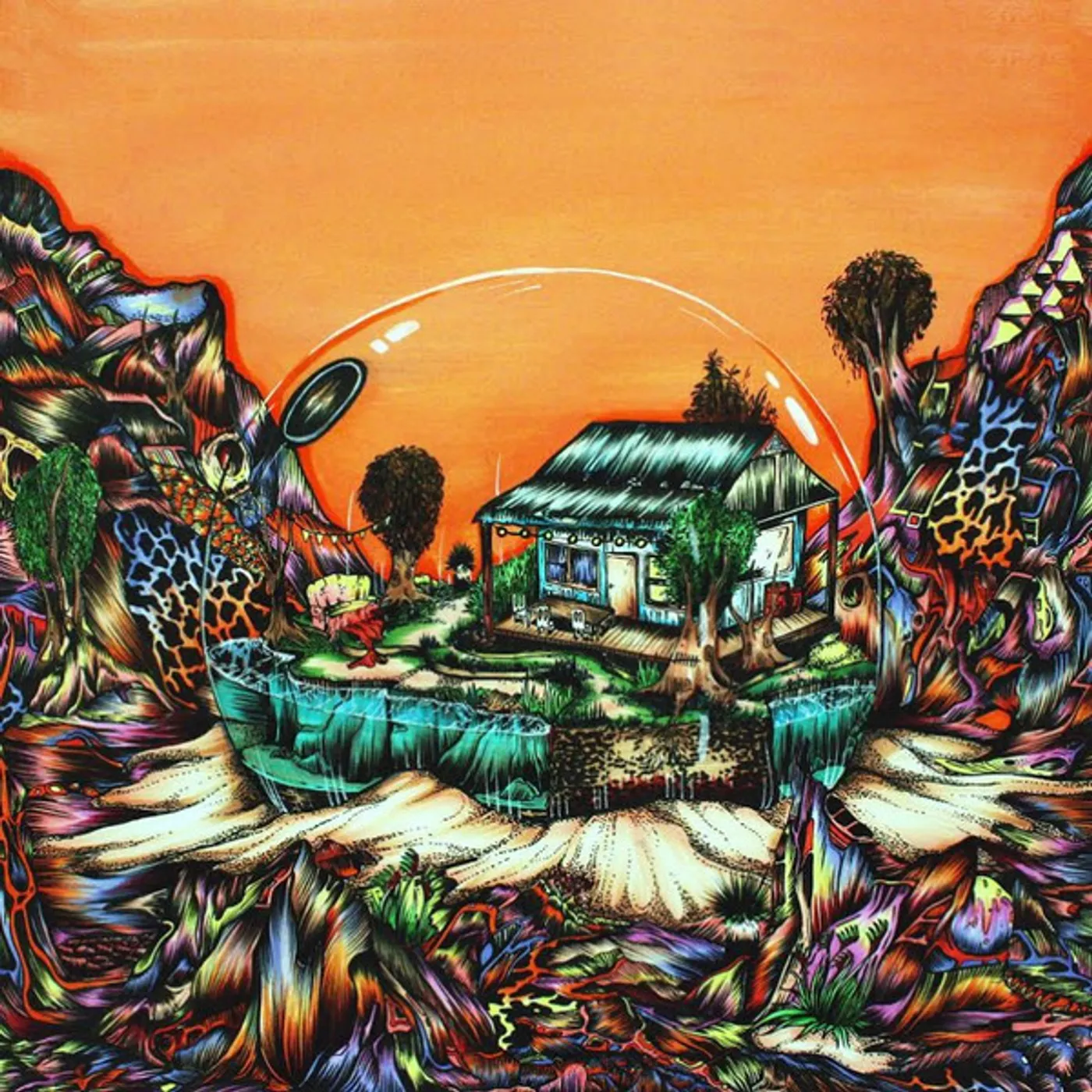 Koi Child Vinyl Record