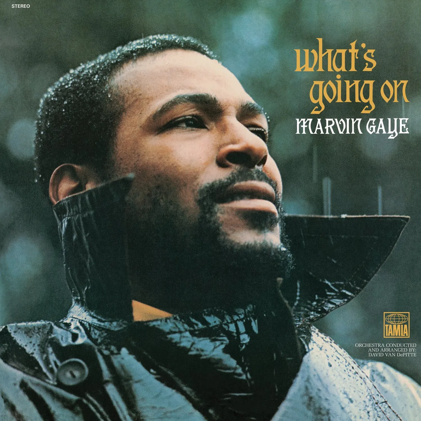 Marvin Gaye What's Going On (10-Inch) Vinyl Record