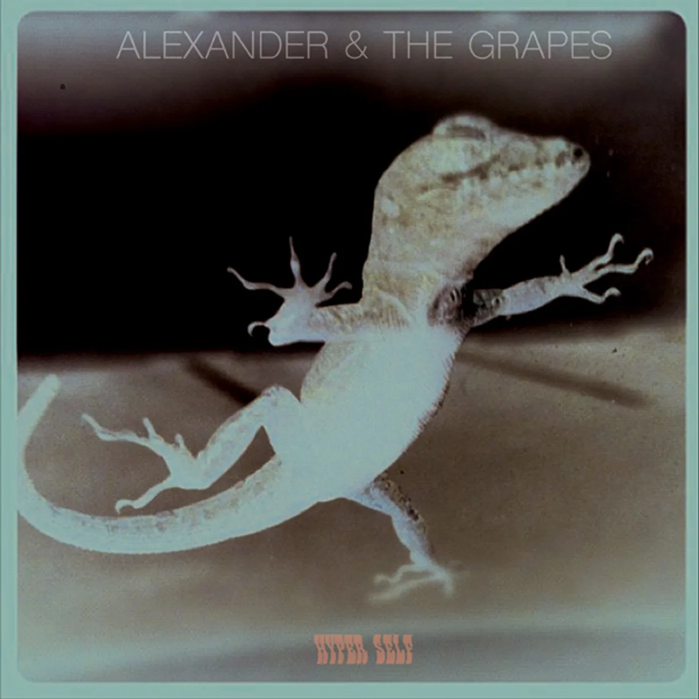 Alexander & The Grapes HYPER SELF Vinyl Record