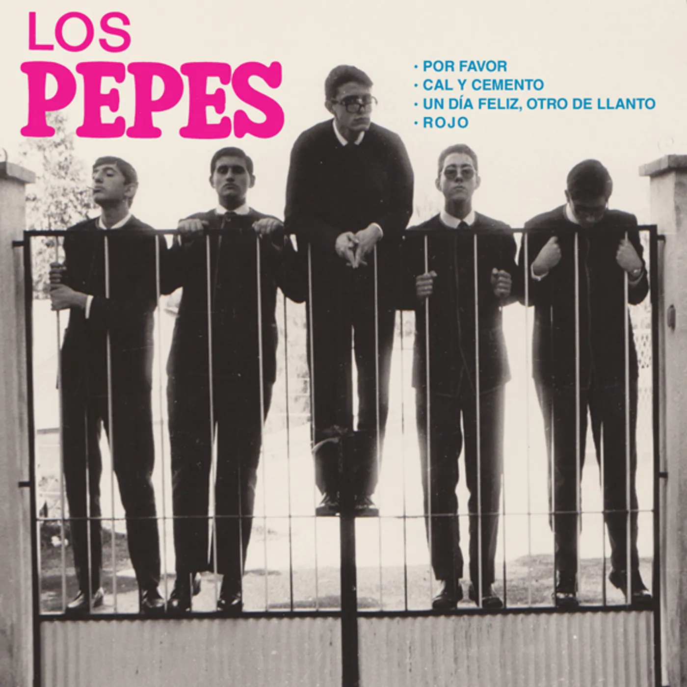 Los Pepes Por Favor Vinyl Record