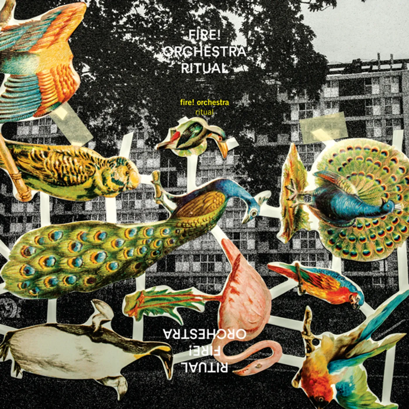 Fire! Orchestra Ritual Vinyl Record