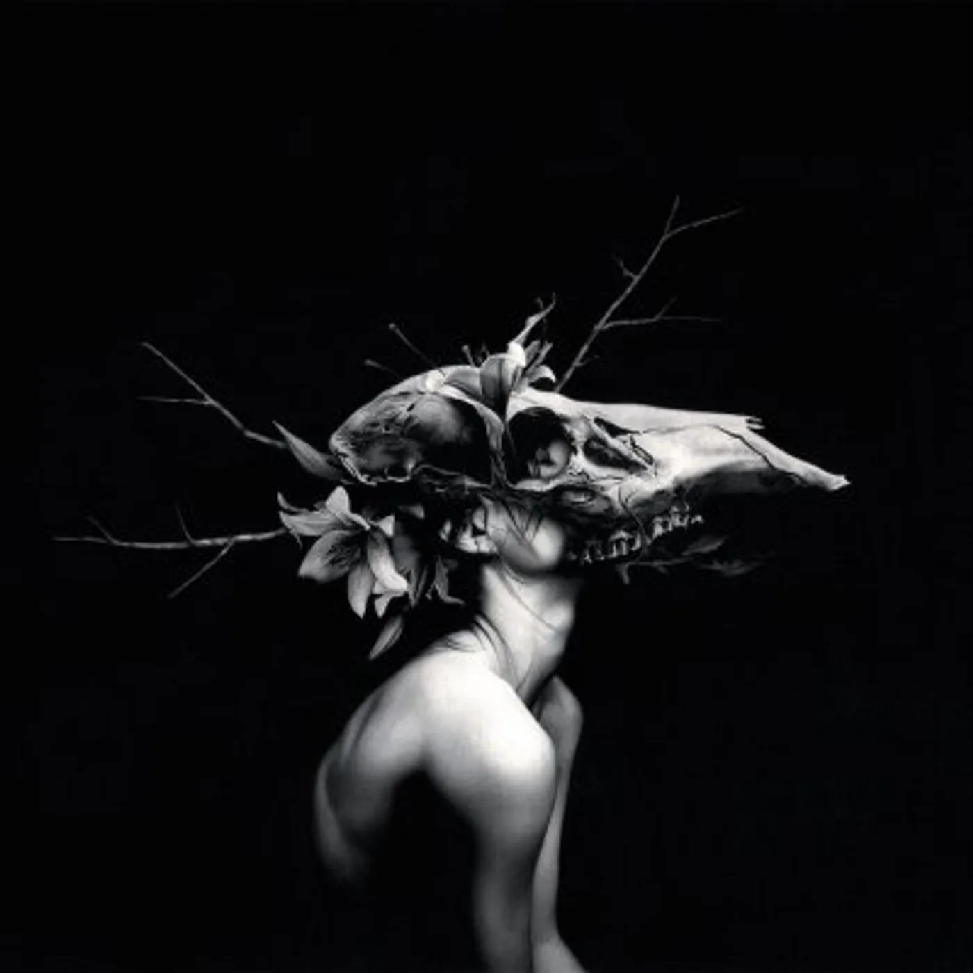 William Ryan Fritch NEW WORDS FOR OLD WOUNDS CD