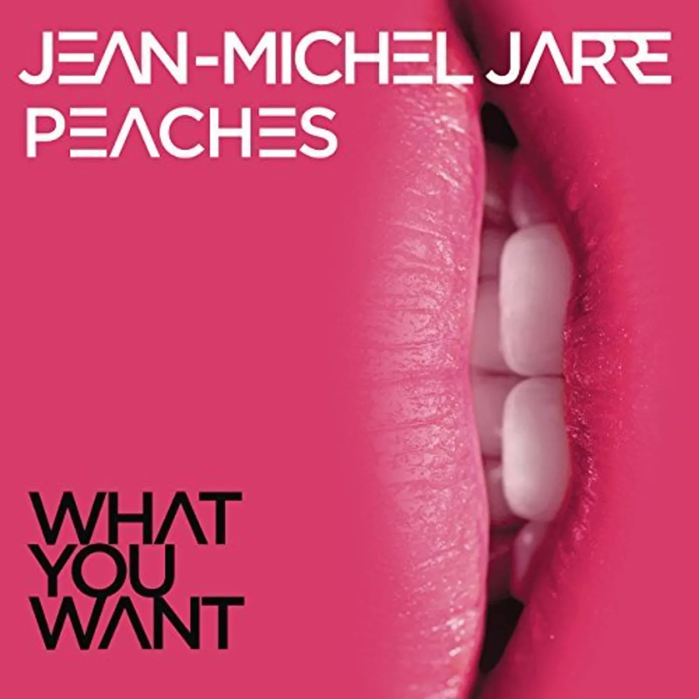 Jean-Michel Jarre What You Want Vinyl Record