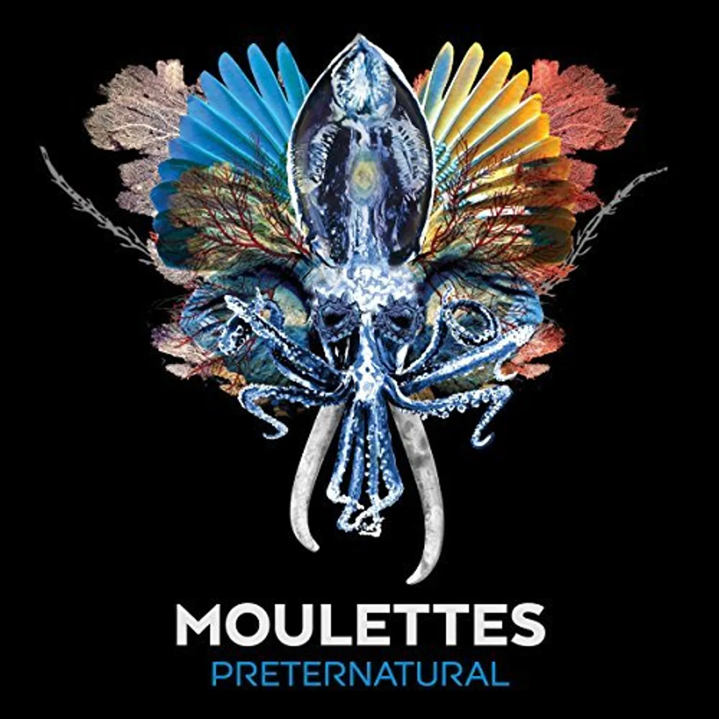 Moulettes Preternatural Vinyl Record