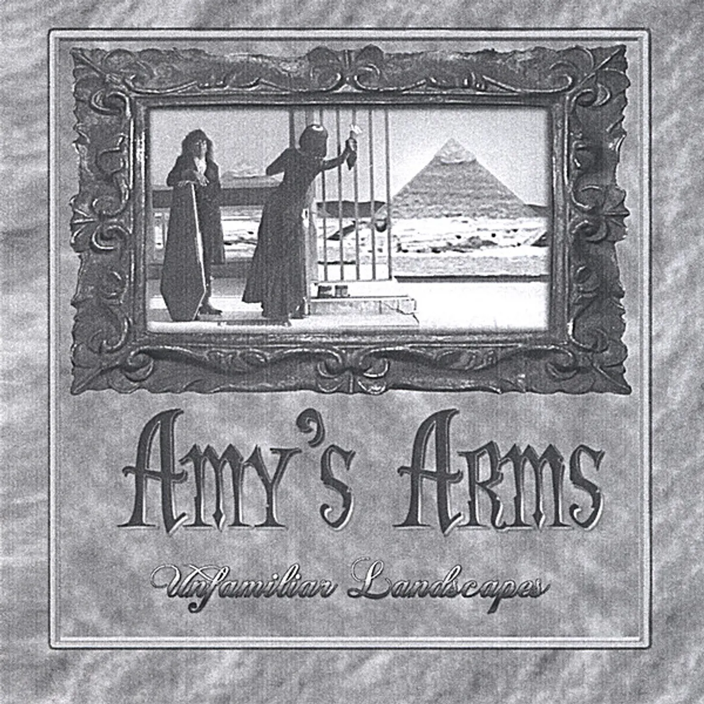 Amy's Arms UNFAMILIAR LANDSCAPES CD