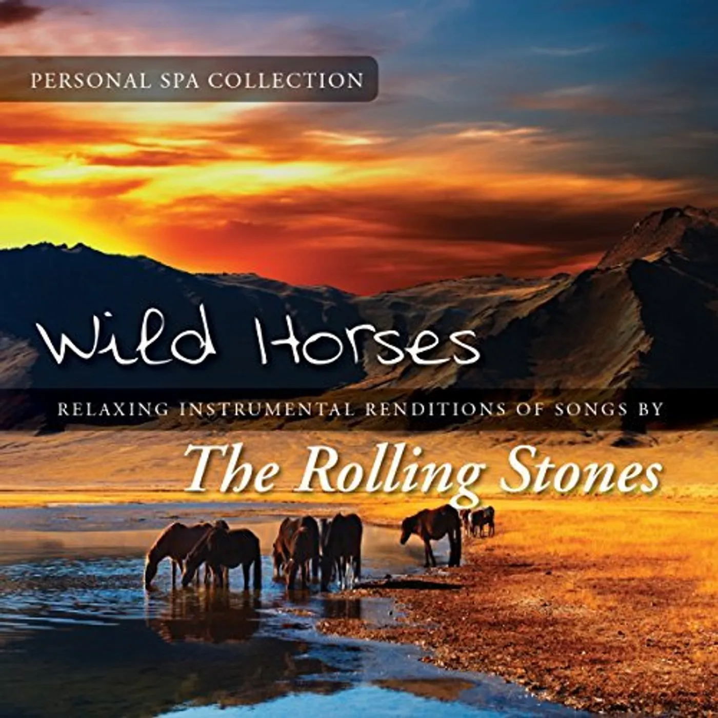 Judson Mancebo WILD HORSES CD