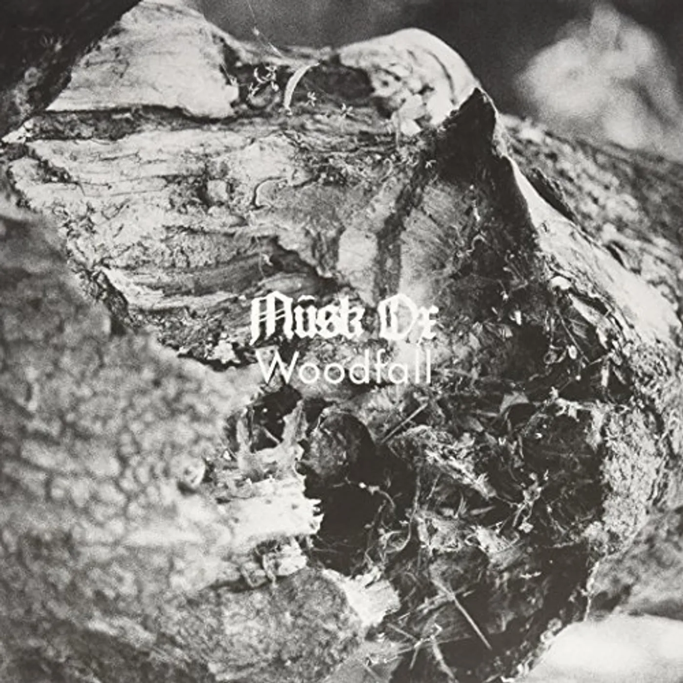 Musk Ox Woodfall Vinyl Record