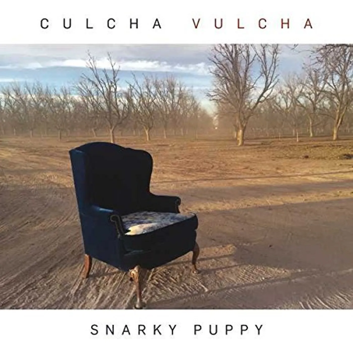 Snarky Puppy CULCHA VULCHA CD