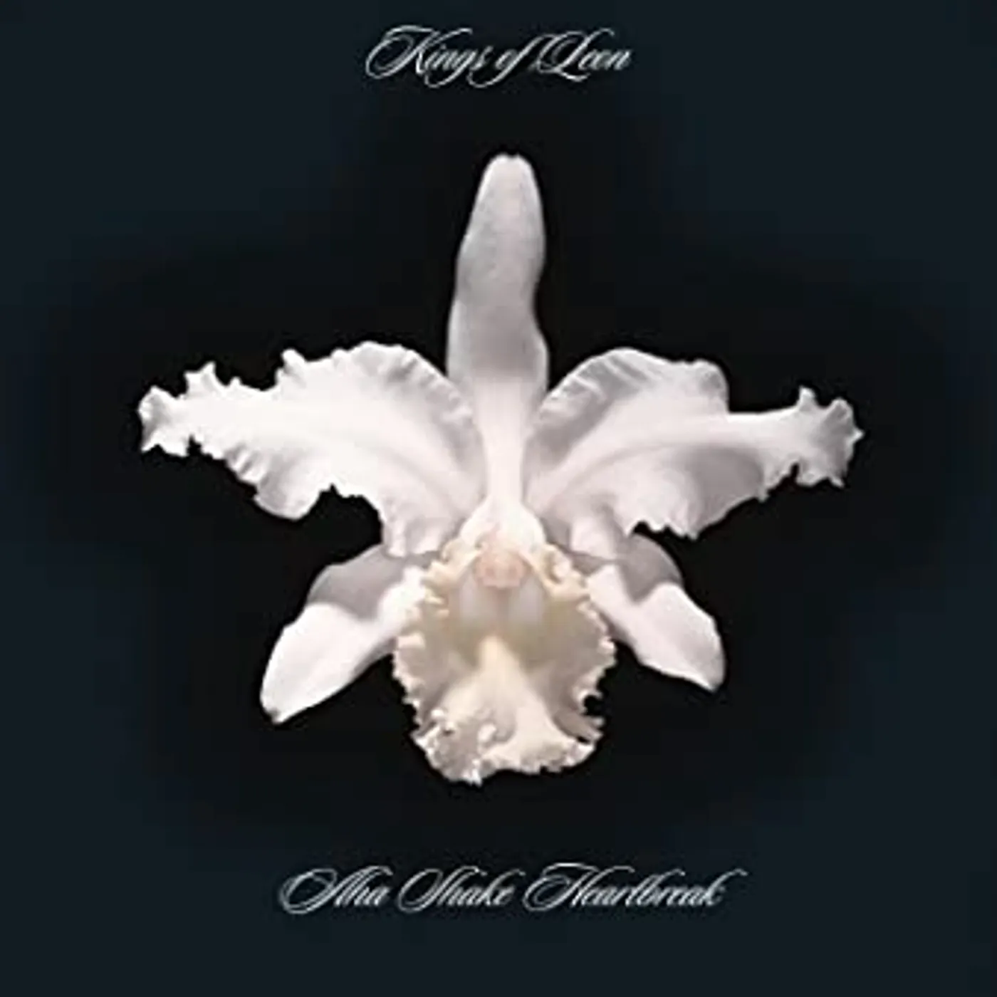 Kings of Leon Aha Shake Heartbreak Vinyl Record