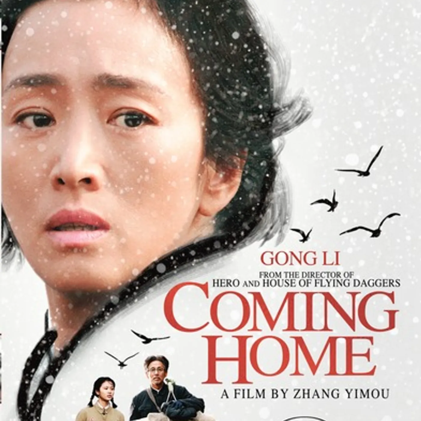 COMING HOME (2015) DVD
