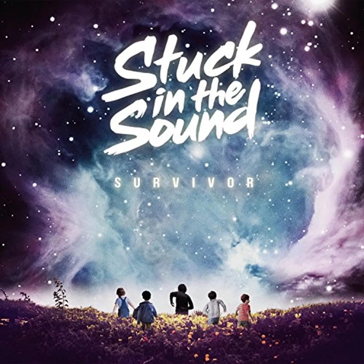 Stuck in the Sound Survivor Vinyl Record