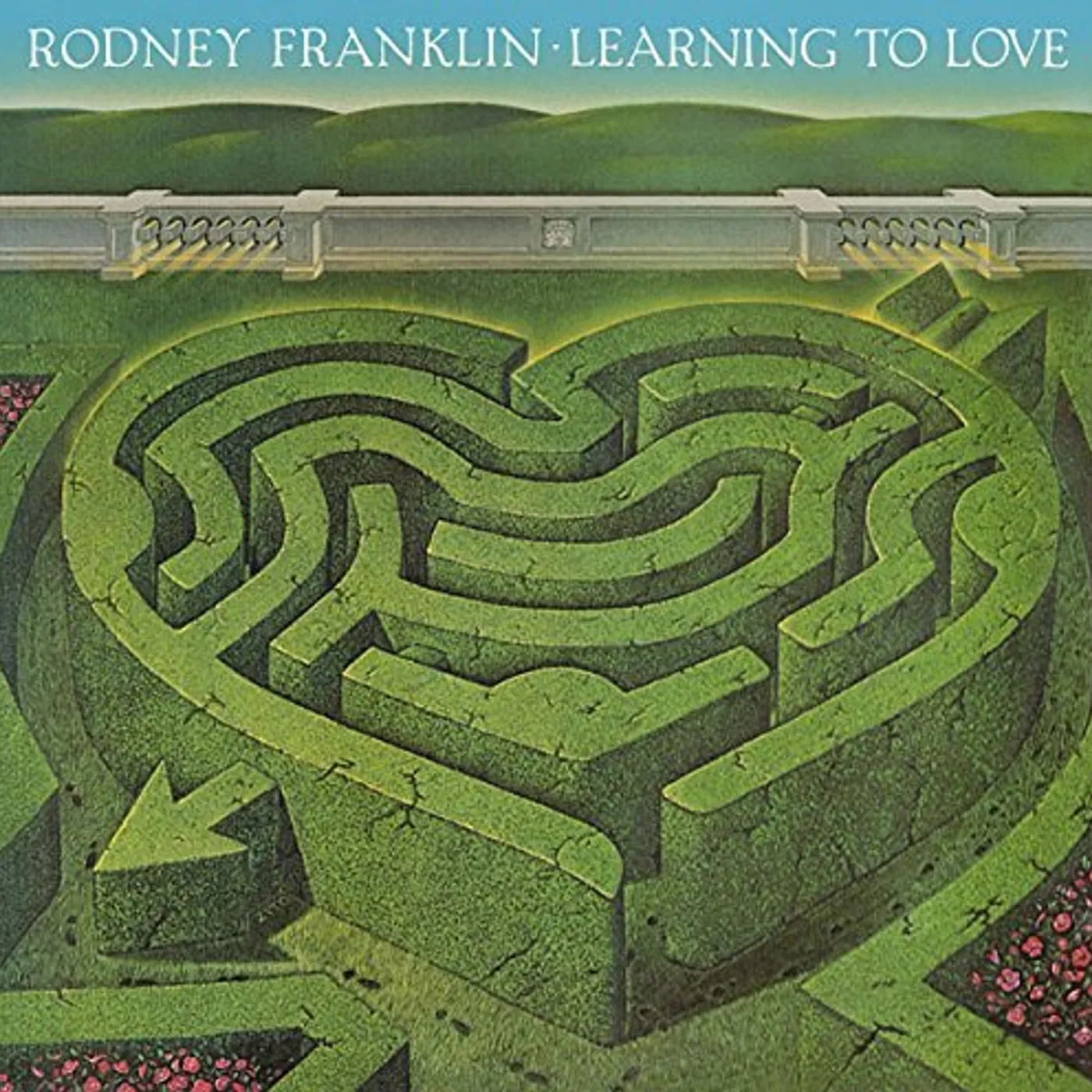 Rodney Franklin LEARNING TO LOVE CD