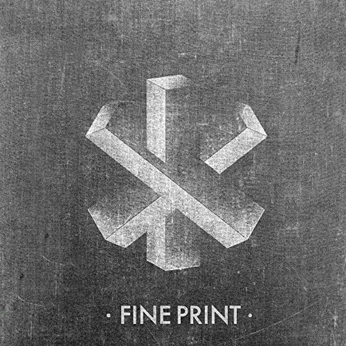 Fine Print Vinyl Record
