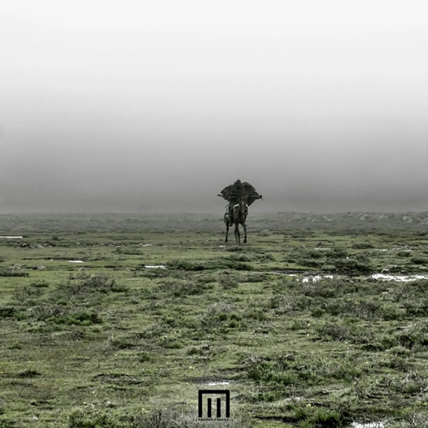 Markus Wormstorm Figure In Field Vinyl Record