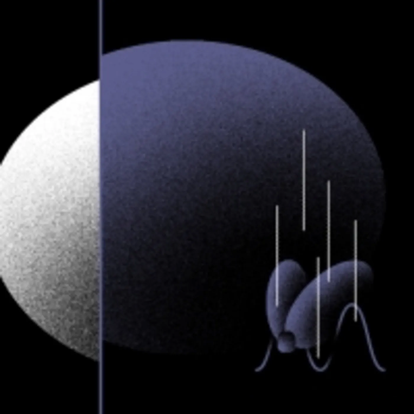 SUGAI KEN GOTO NO YONIWA GARDEN IN THE NIGHT (AN ELECTRONIC CD