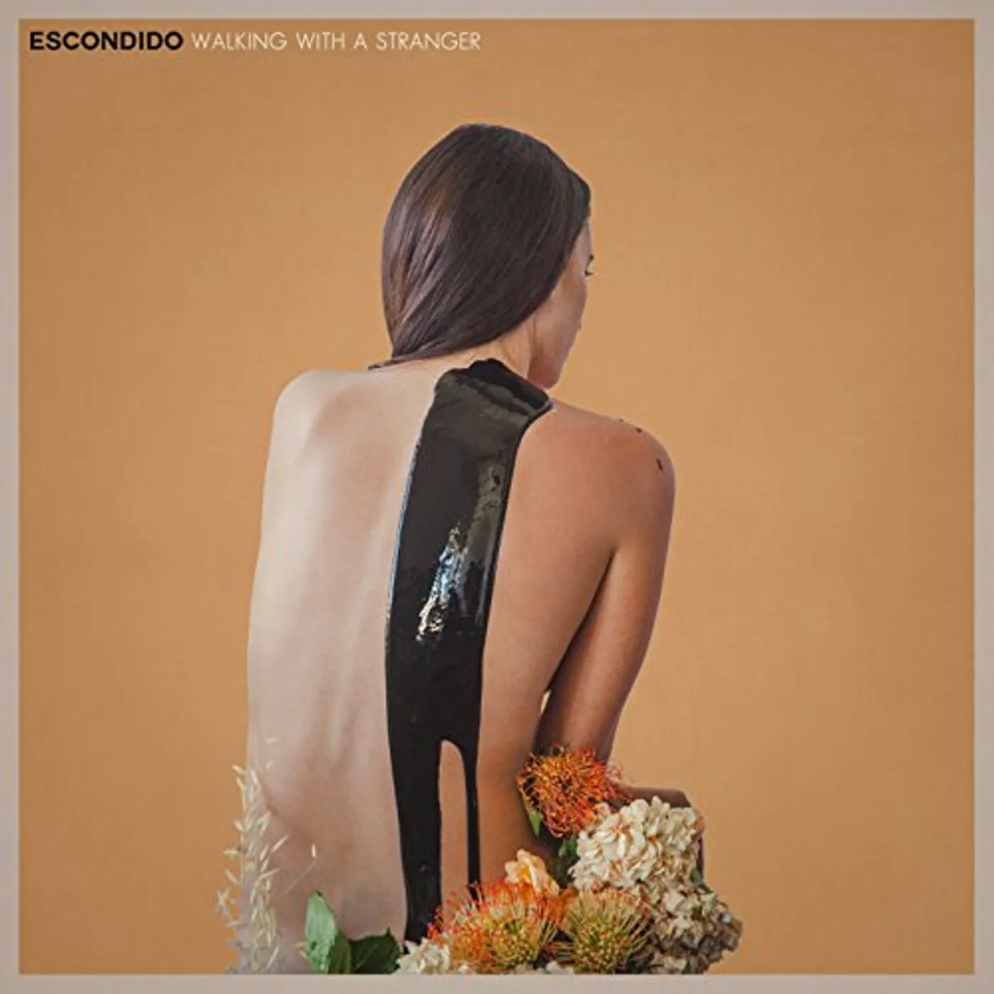 Escondido Walking With a Stranger Vinyl Record