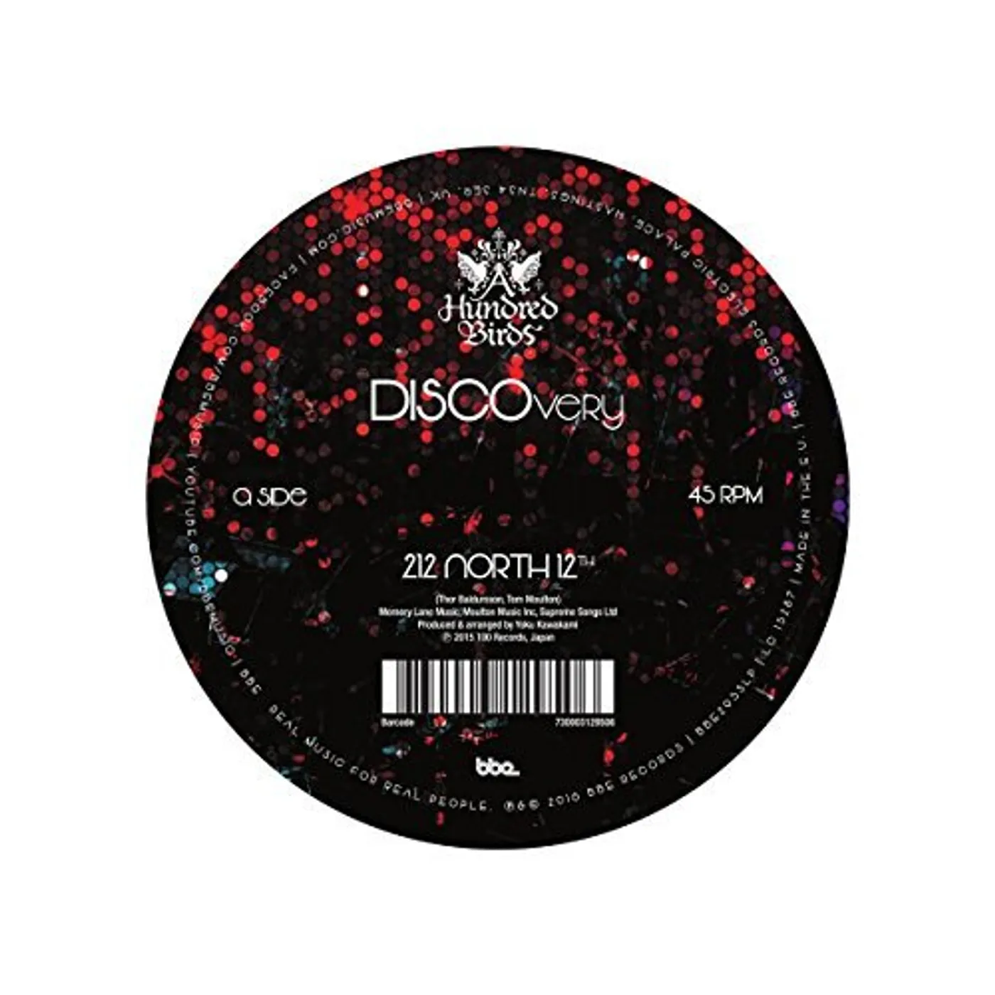 A Hundred Birds DISCOvery Vinyl Record