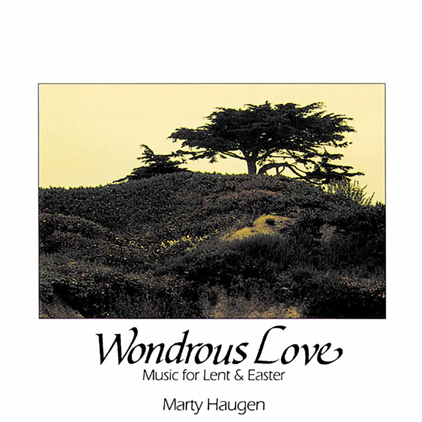 Marty Haugen WONDROUS LOVE CD