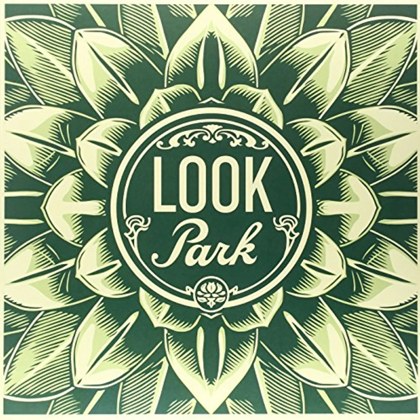 Look Park Vinyl Record