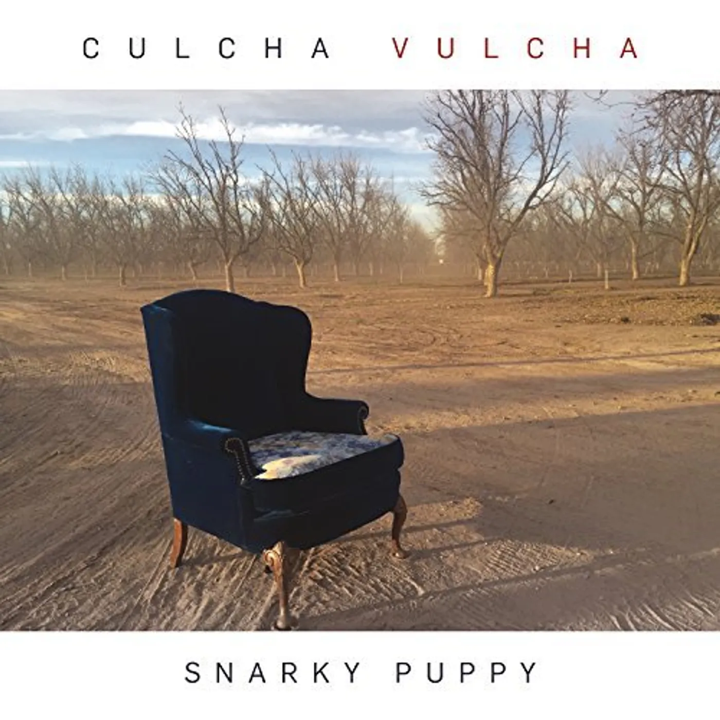 Snarky Puppy Culcha Vulcha Vinyl Record
