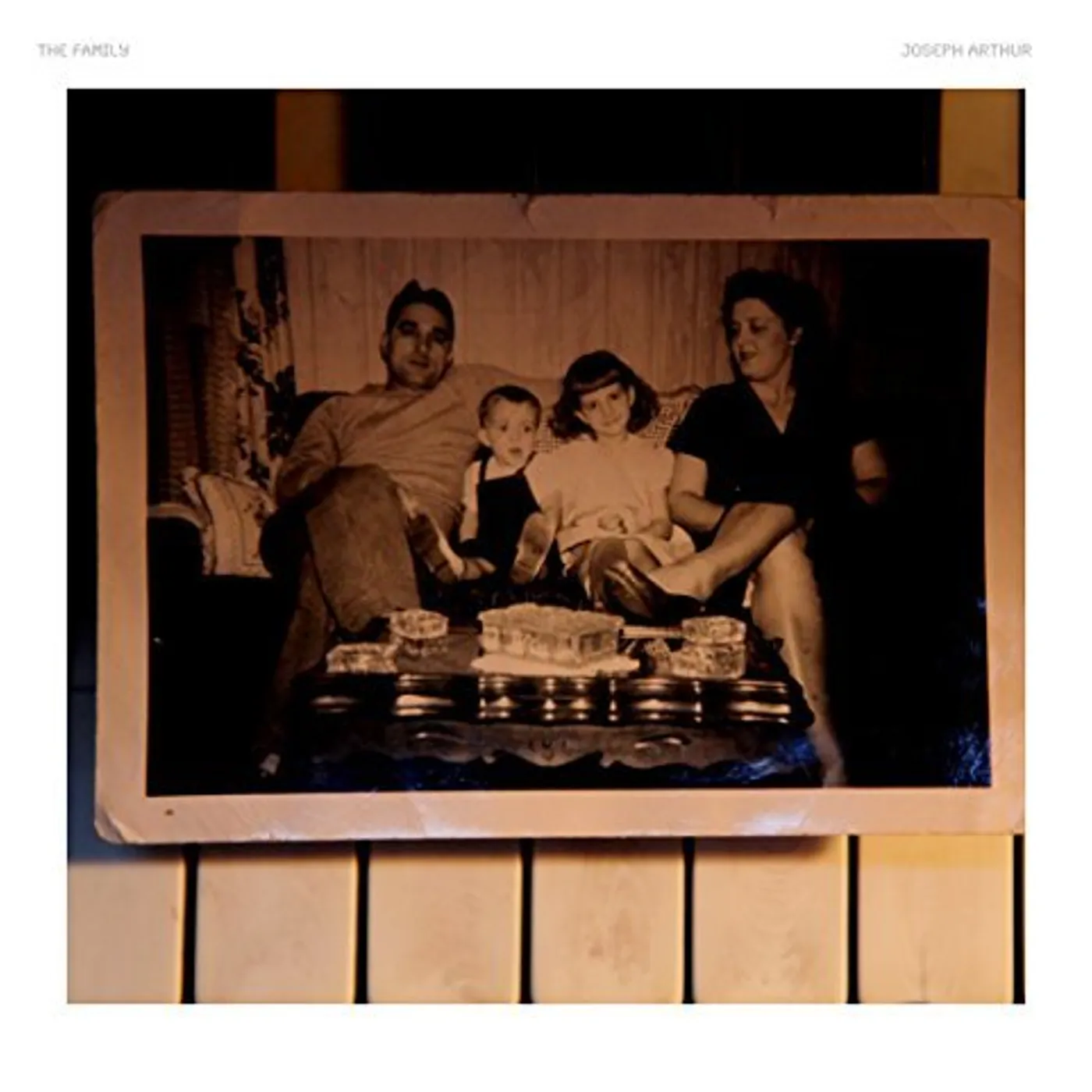 Joseph Arthur THE FAMILY CD